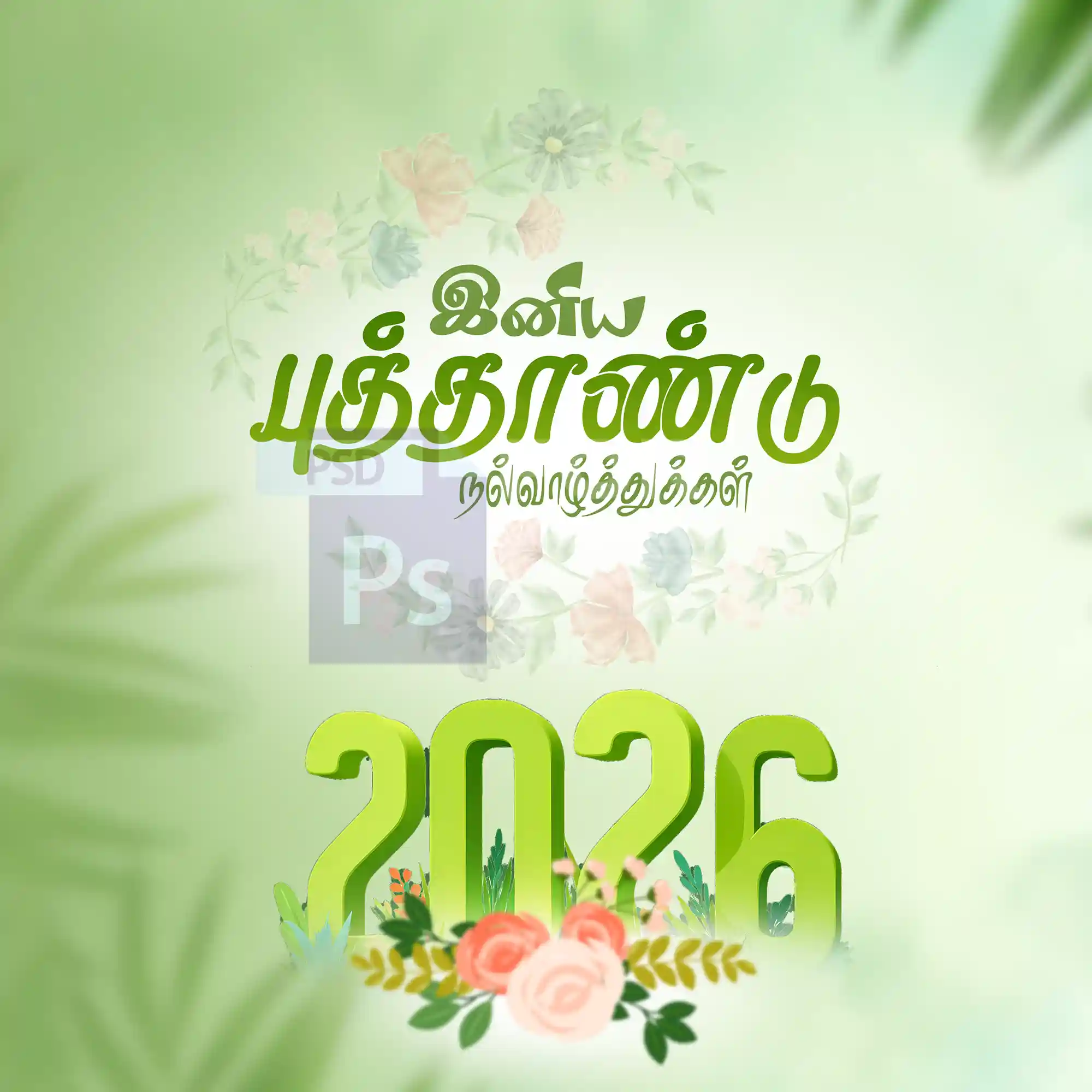 Image Preview